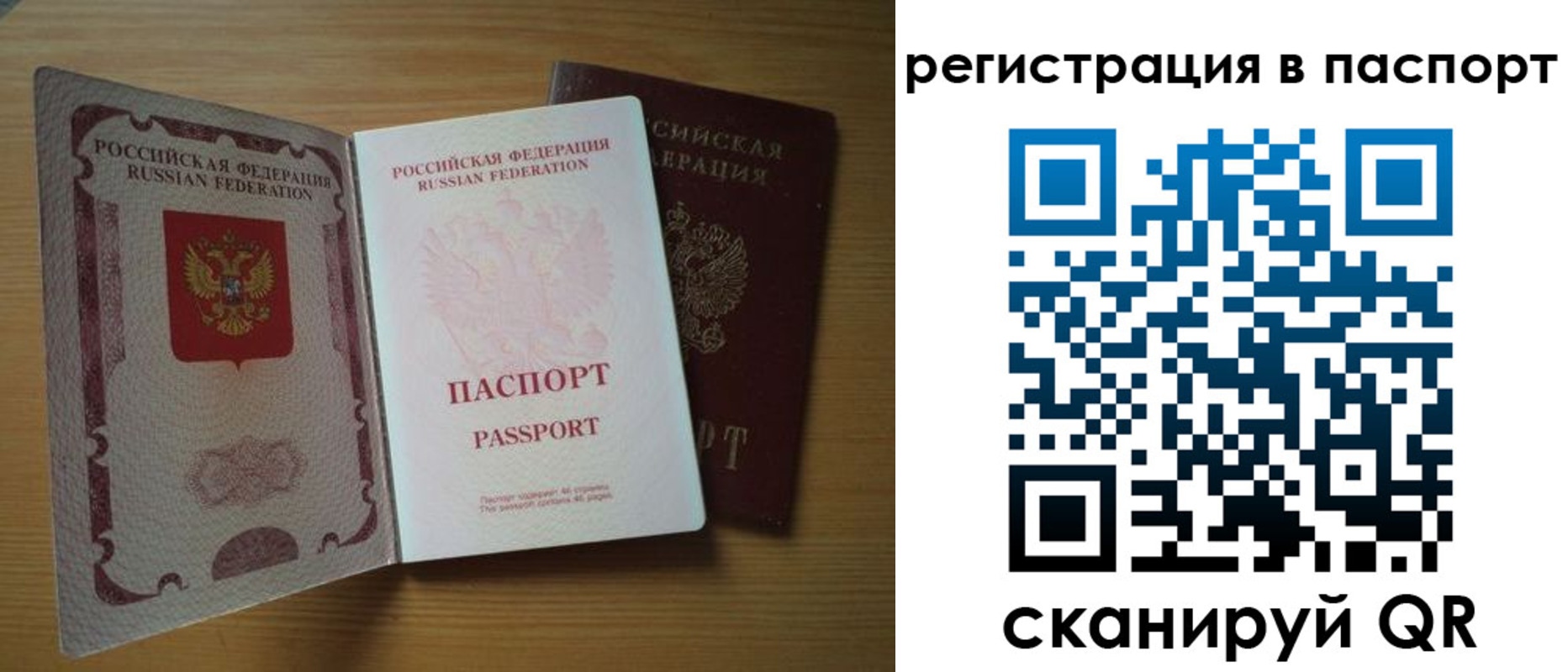 прописка для школы в Дмитрове